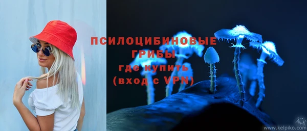 MESCALINE Аркадак