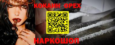 стаф Кунгур
