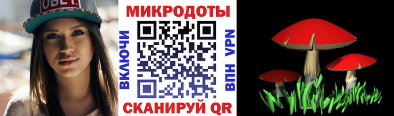 Галлюциногенные грибы Psilocybe цена Кингисепп