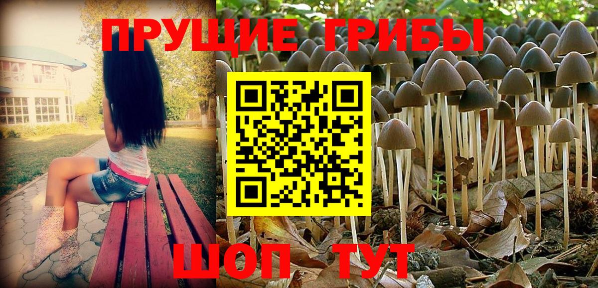 Кингисепп  Галлюциногенные грибы MAGIC MUSHROOMS  Галлюциногенные грибы Psilocybe  Вход с VPN 
