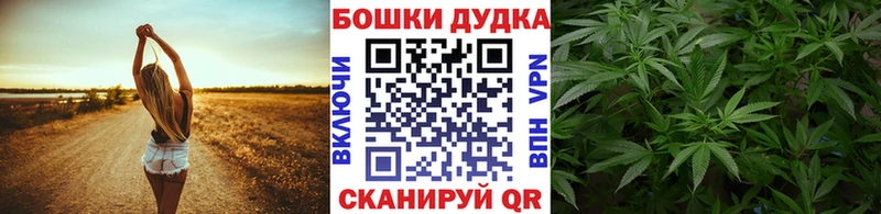 kraken рабочий сайт  Кингисепп  Бошки Шишки индика 