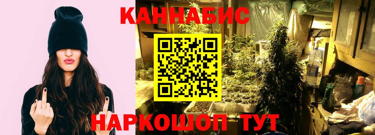 МАРИХУАНА конопля Кингисепп